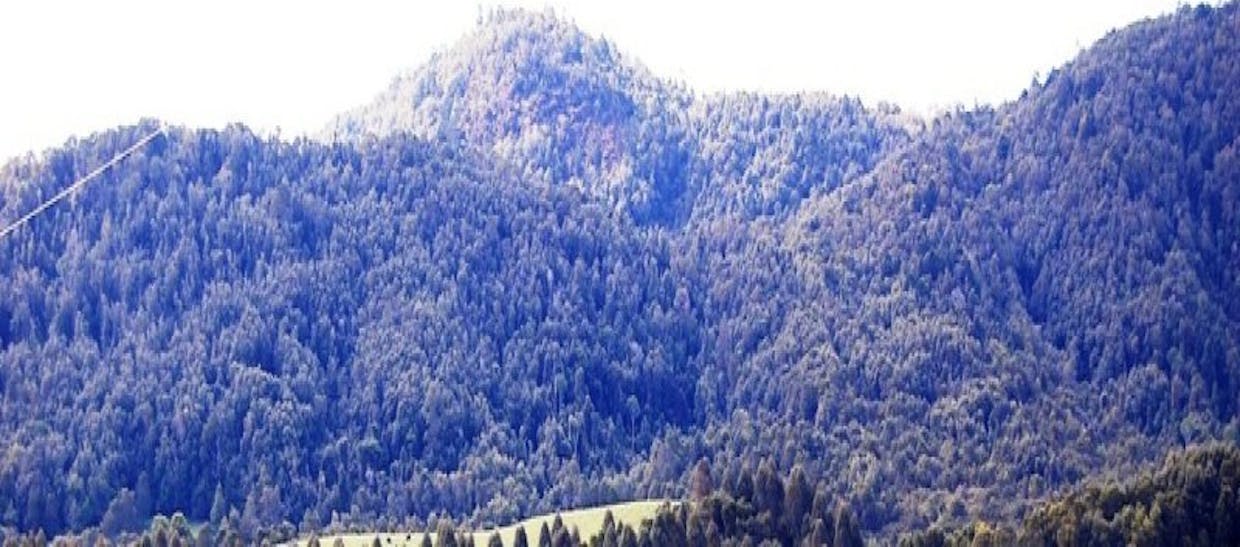 Dorrigo, NSW, 2453 - Image 2