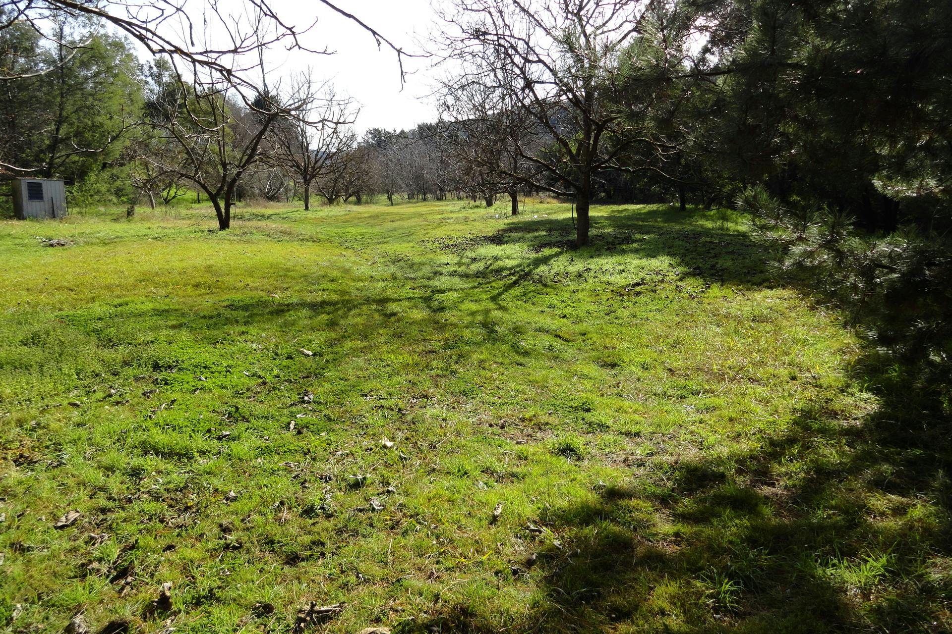 3237 Tallangatta Creek Road, Tallangatta, VIC, 3700 Sold Elders