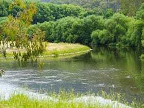 Broadrib Leys Road, Eskdale, VIC, 3701 - Image 1