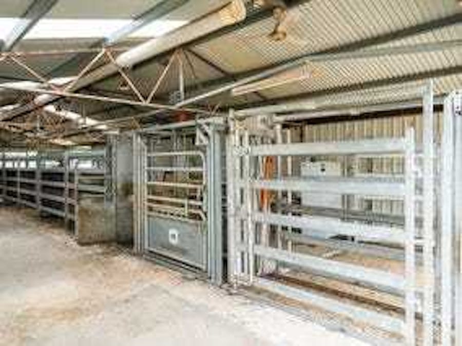 Broadrib Leys Road, Eskdale, VIC, 3701 - Image 3