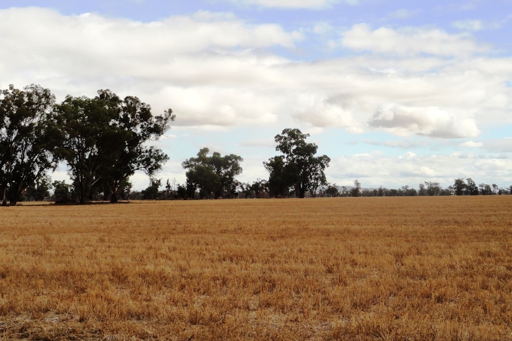 ''sloane'' Dicks Plain Road, Mulwala, NSW, 2647 - Image 12