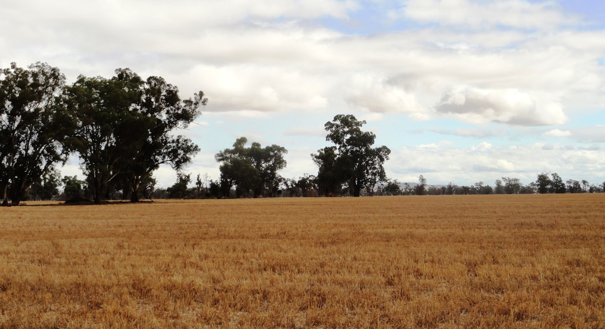 ''sloane'' Dicks Plain Road, Mulwala, NSW, 2647 - Image 12