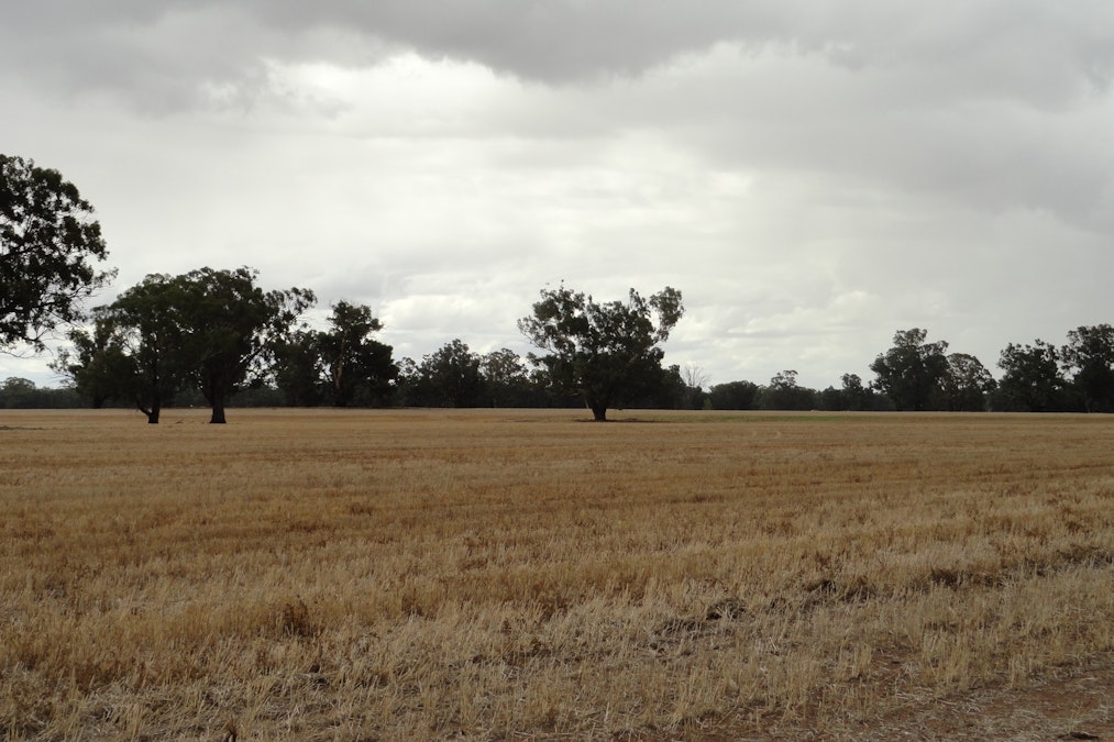 ''sloane'' Dicks Plain Road, Mulwala, NSW, 2647 - Image 17