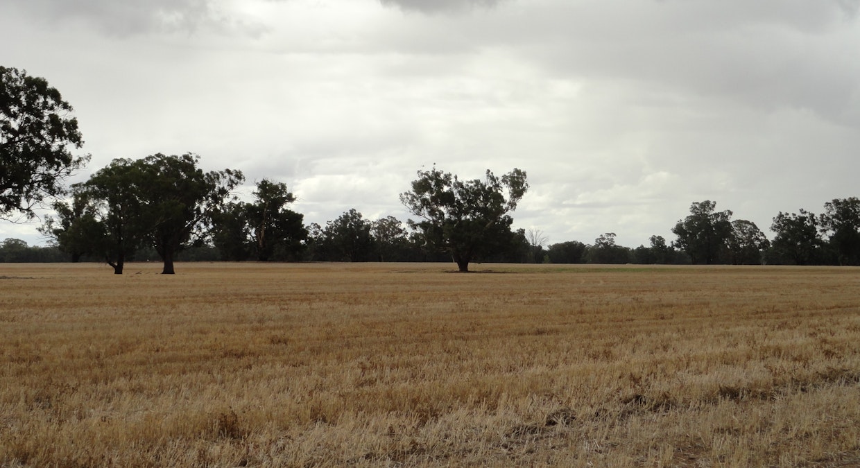 ''sloane'' Dicks Plain Road, Mulwala, NSW, 2647 - Image 17