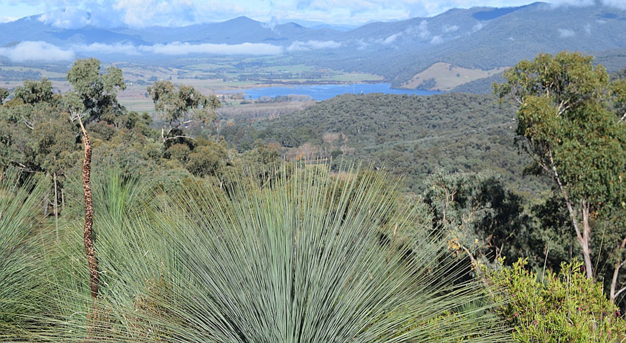 Lot 1 Tyrell Street, Khancoban, NSW, 2642 Sold Elders Real Estate