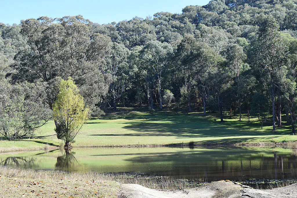 Lot 1 Tyrell Street, Khancoban, NSW, 2642 Sold Elders Real Estate