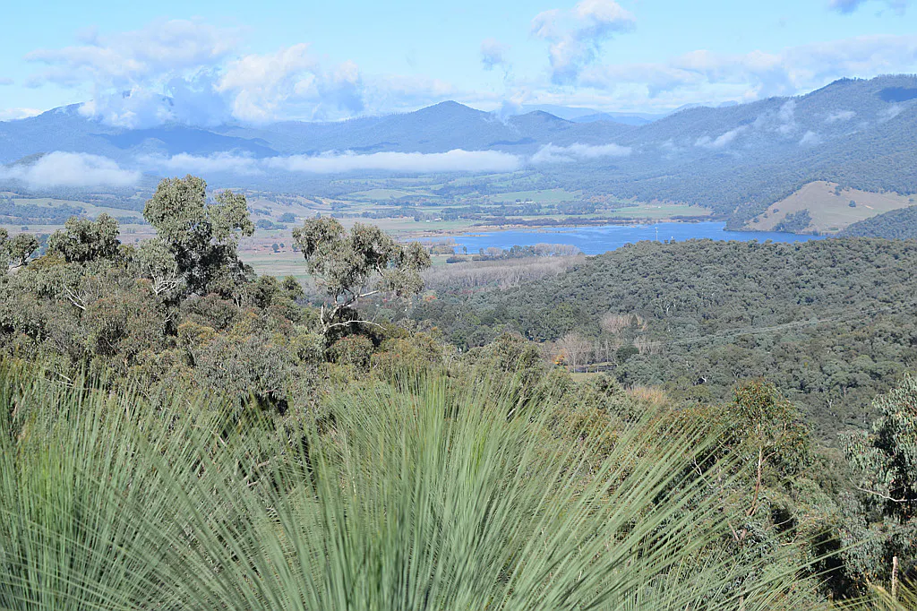 Lot 1 Tyrell Street, Khancoban, NSW, 2642 Sold Elders Real Estate