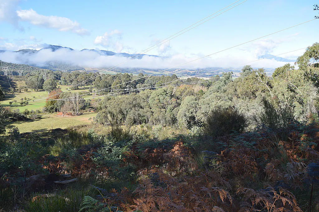 Lot 1 Tyrell Street, Khancoban, NSW, 2642 Sold Elders Real Estate