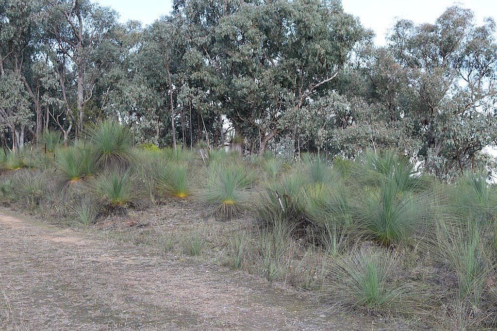 Lot 1 Tyrell Street, Khancoban, NSW, 2642 Sold Elders Real Estate