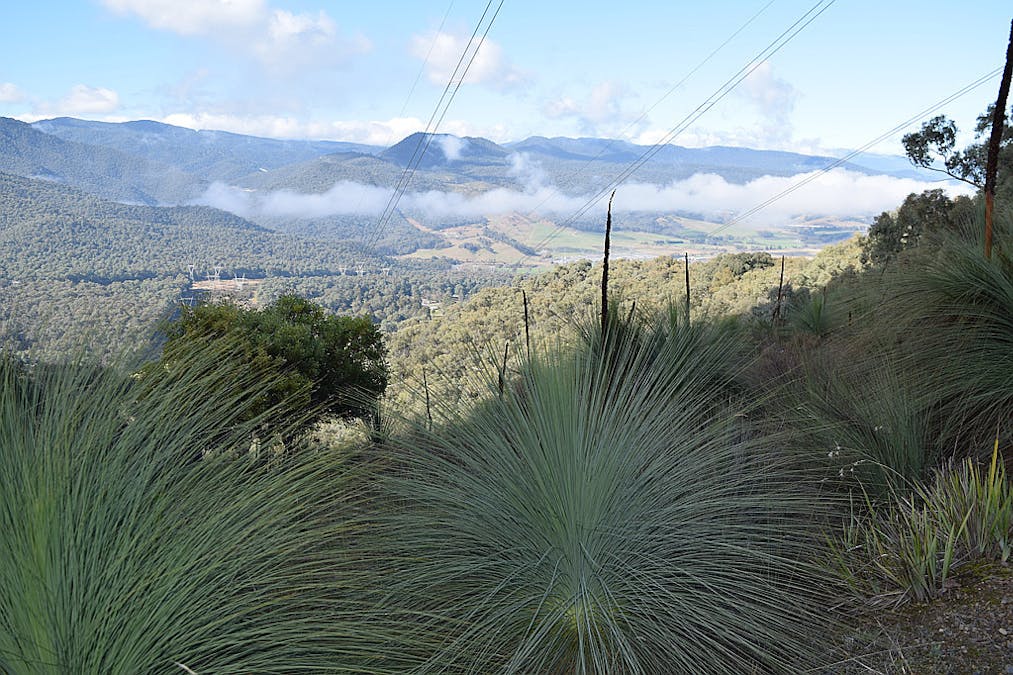 Lot 1 Tyrell Street, Khancoban, NSW, 2642 Sold Elders Real Estate