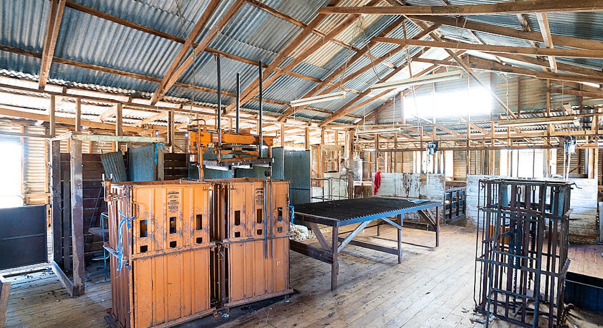 Caringa Lane, Corowa, NSW, 2646 - Image 13