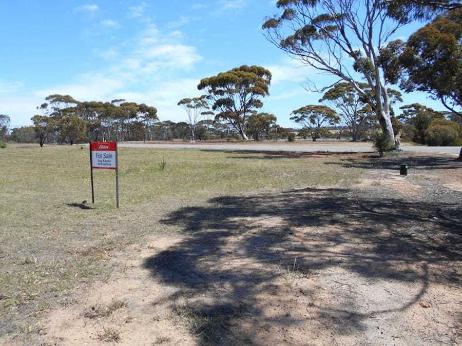 75 Harvey Street, Dumbleyung, WA, 6350 For Sale Elders Real Estate