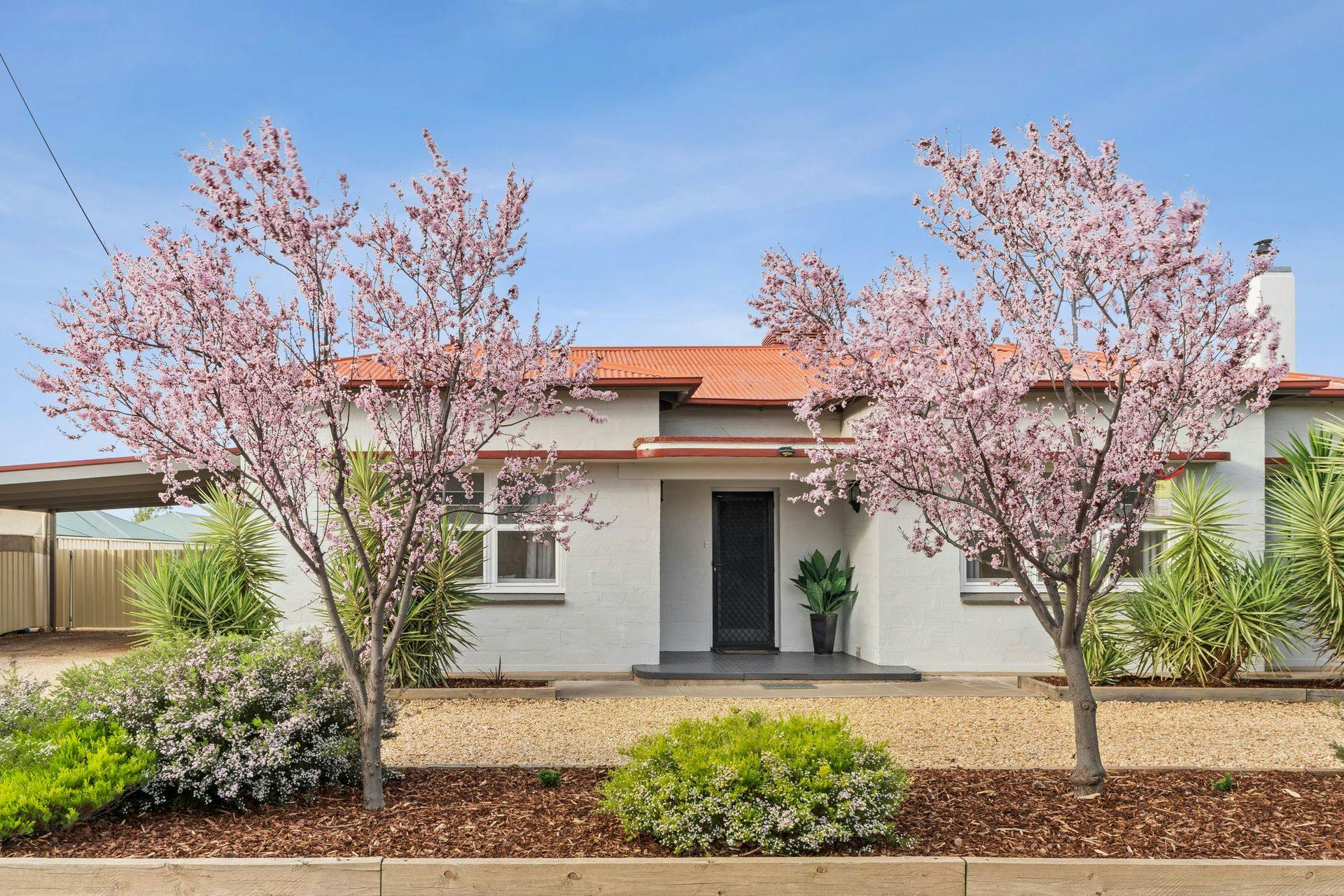 62 Street, Renmark, SA, 5341 Sold Elders Real Estate