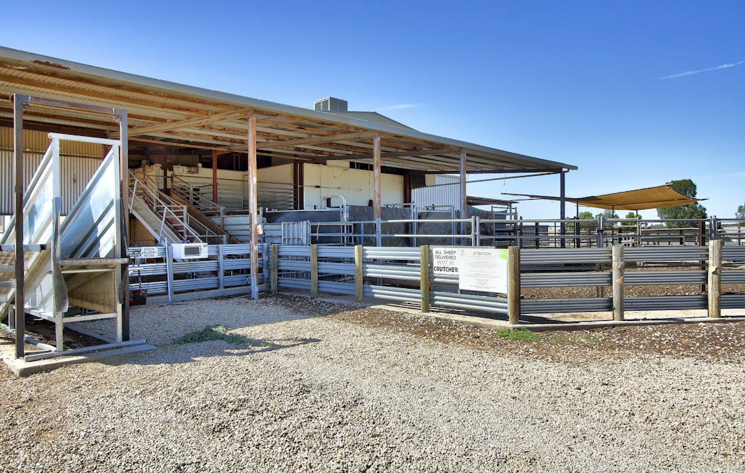 134 Bullwinkle Road, Loxton, SA, 5333 - Image 10
