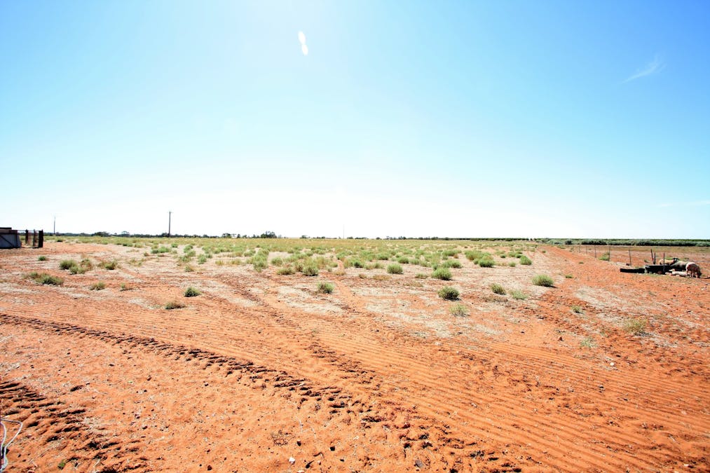 134 Bullwinkle Road, Loxton, SA, 5333 - Image 15
