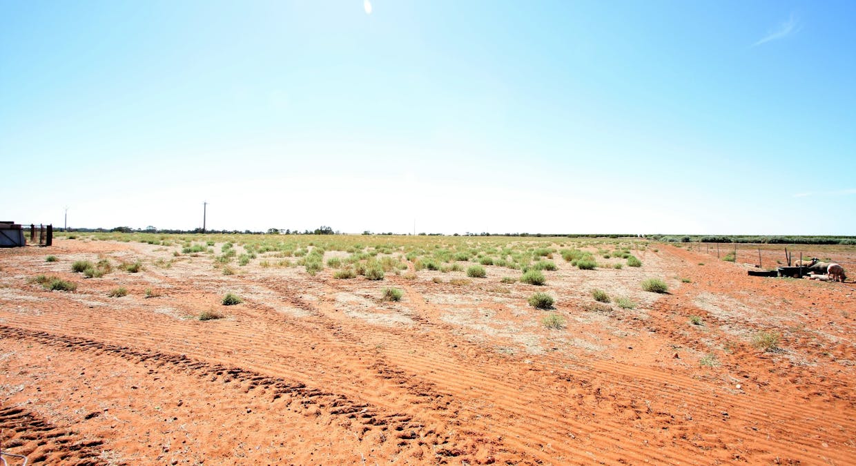 134 Bullwinkle Road, Loxton, SA, 5333 - Image 15