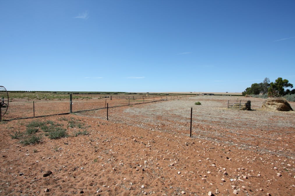 134 Bullwinkle Road, Loxton, SA, 5333 - Image 16