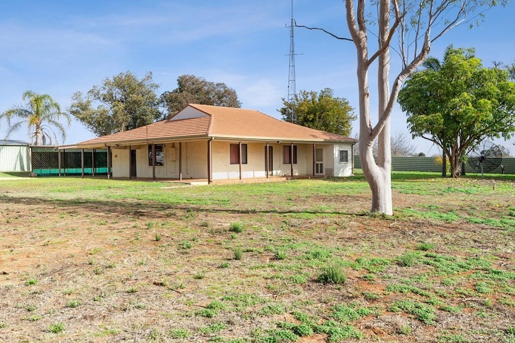 17204 Sturt Highway, Barmera, SA, 5345 - Image 1