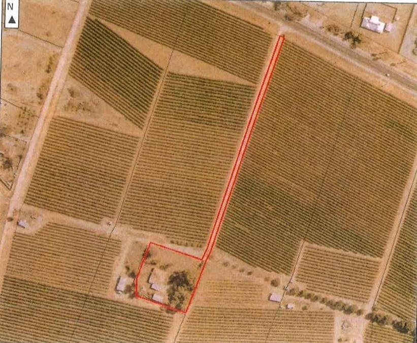 17204 Sturt Highway, Barmera, SA, 5345 - Floorplan 1