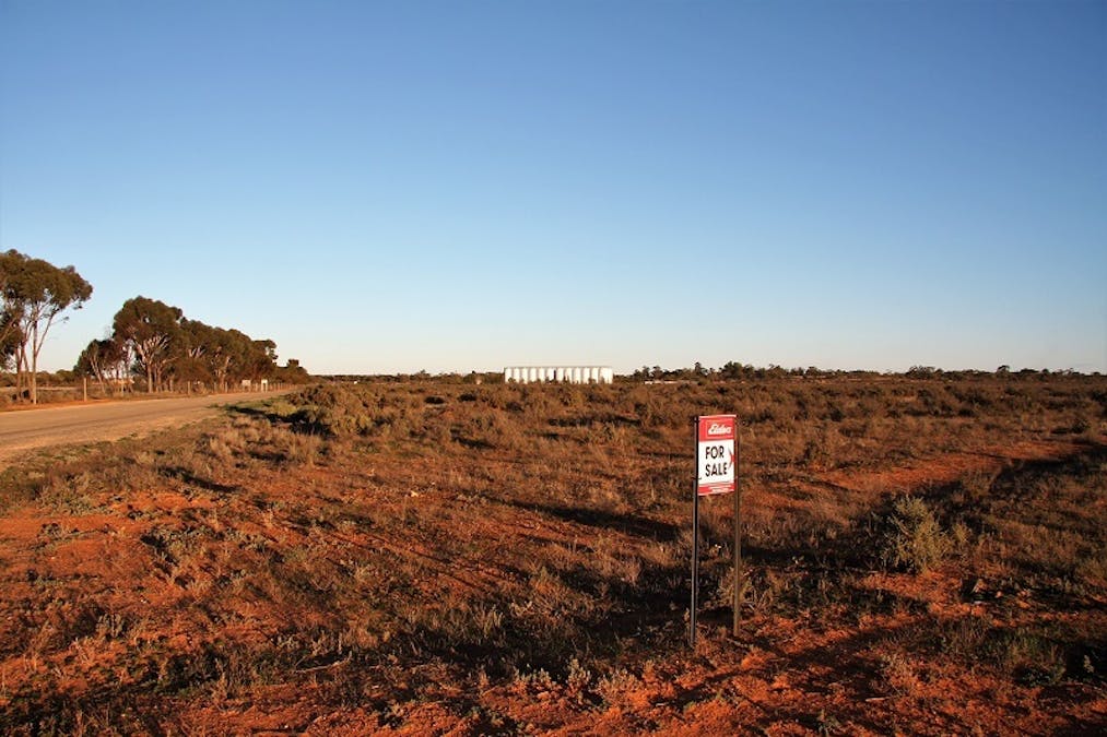Lot 202 Elliot Drive, Barmera, SA, 5345 - Image 3
