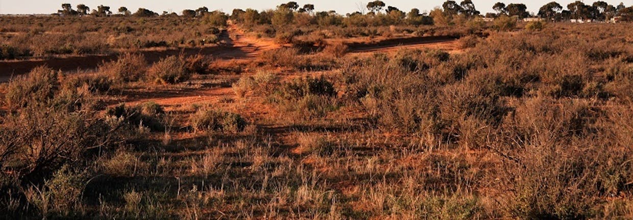 Lot 202 Elliot Drive, Barmera, SA, 5345 - Image 4