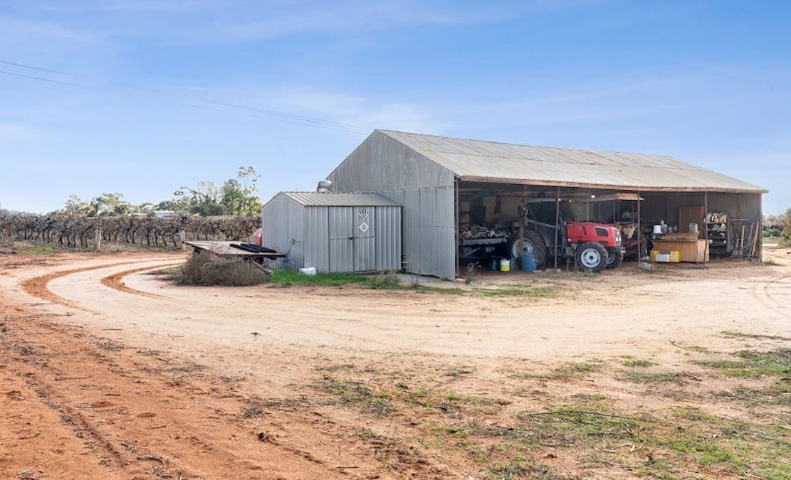 35 Manning Road, Barmera, SA, 5345 - Image 5