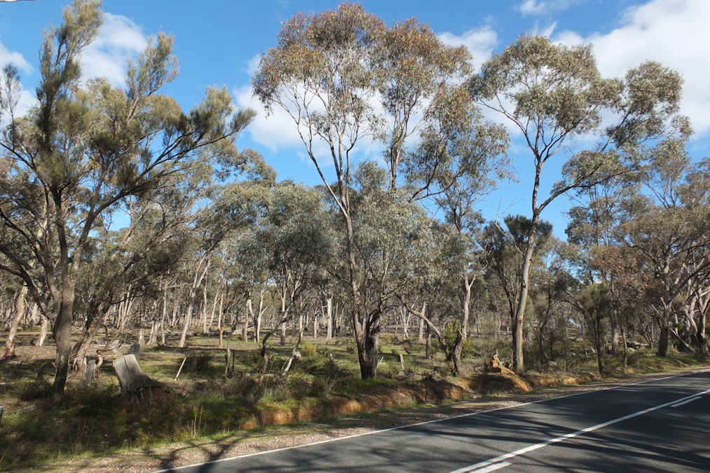 CA22C,22D, Pyrenees Highway, Bung Bong, VIC, 3465 - Image 3