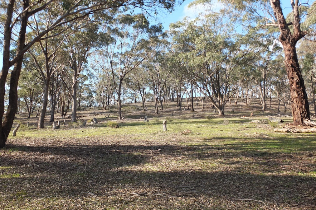 CA22C,22D, Pyrenees Highway, Bung Bong, VIC, 3465 - Image 4