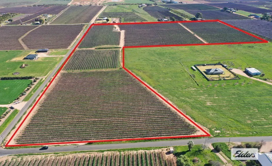 100 and 10/Chowilla Street, Renmark, SA, 5341 - Image 1