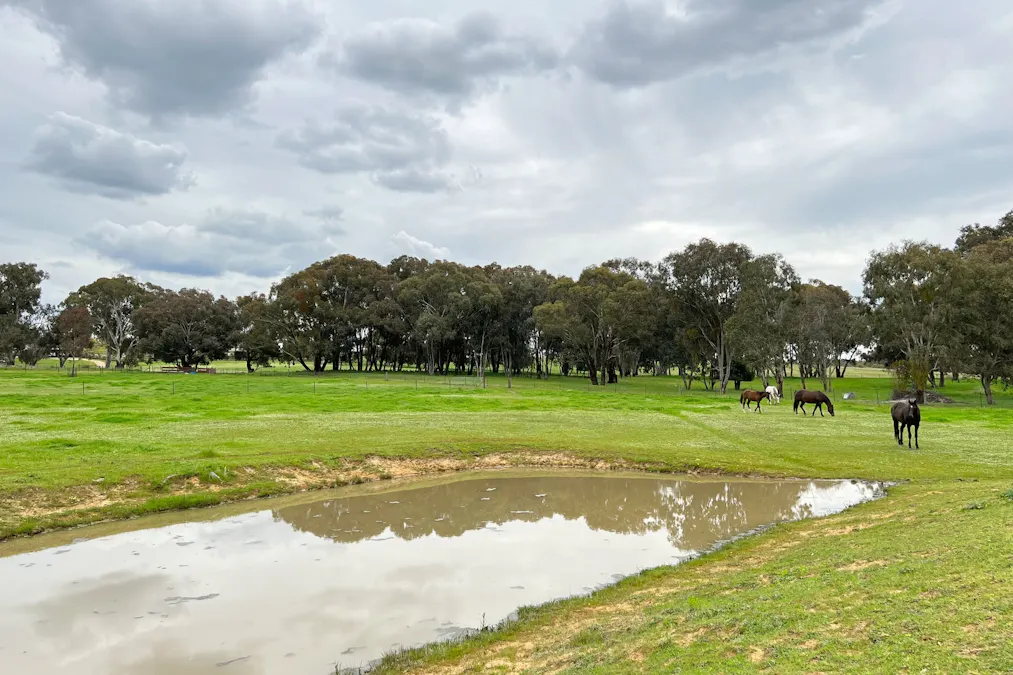 51 Commons Road, Young, NSW, 2594 - Image 16