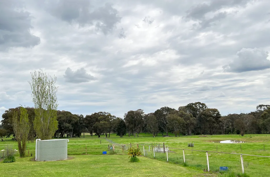 51 Commons Road, Young, NSW, 2594 - Image 18