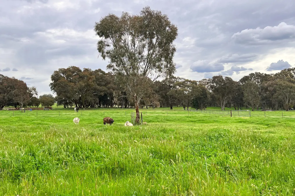 51 Commons Road, Young, NSW, 2594 - Image 20