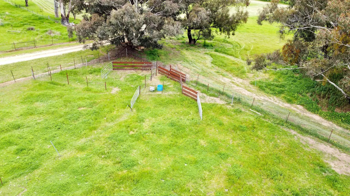 51 Commons Road, Young, NSW, 2594 - Image 21