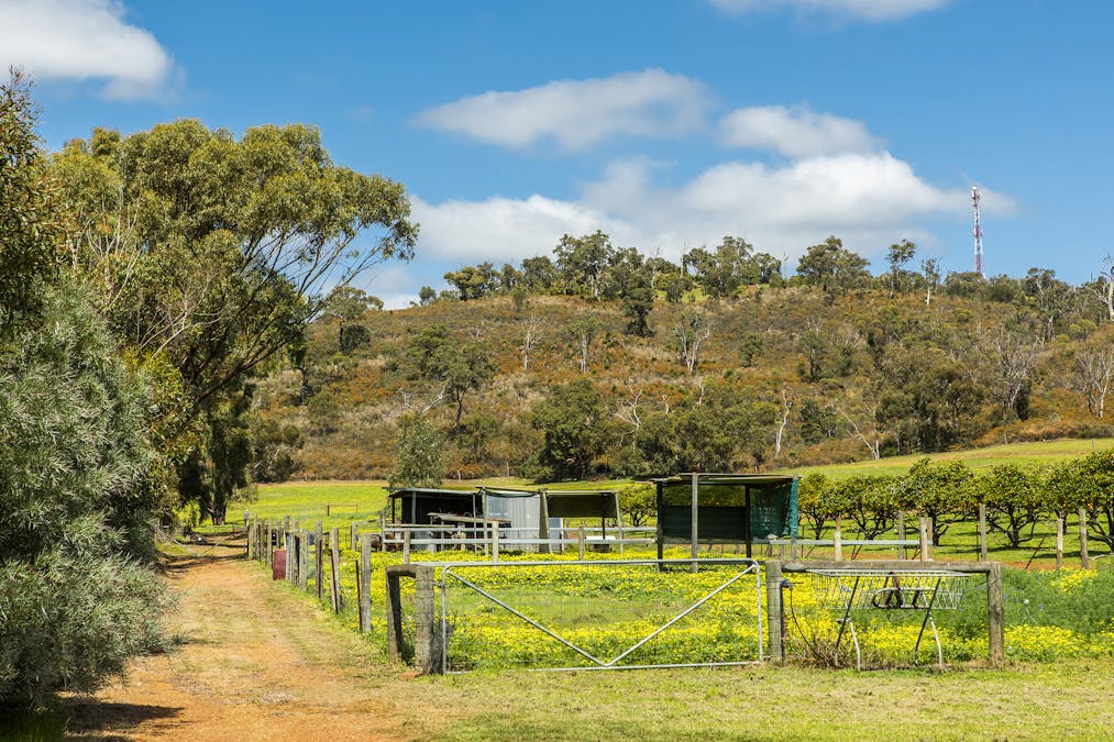 132 Kay Road, Bindoon, WA, 6502 - Image 28