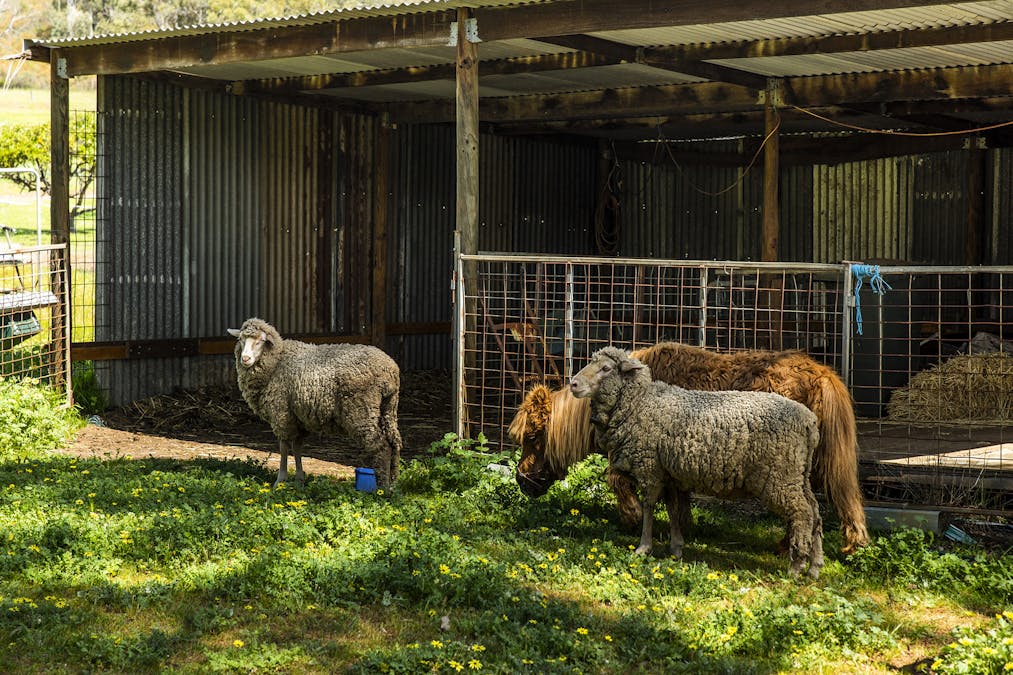 132 Kay Road, Bindoon, WA, 6502 - Image 31