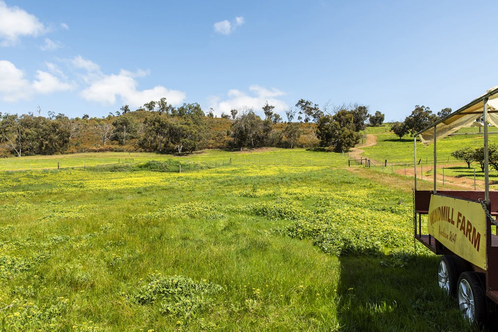 132 Kay Road, Bindoon, WA, 6502 - Image 33