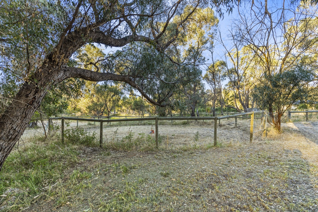 29 Jade Loop, Carabooda, WA, 6033 - Image 26