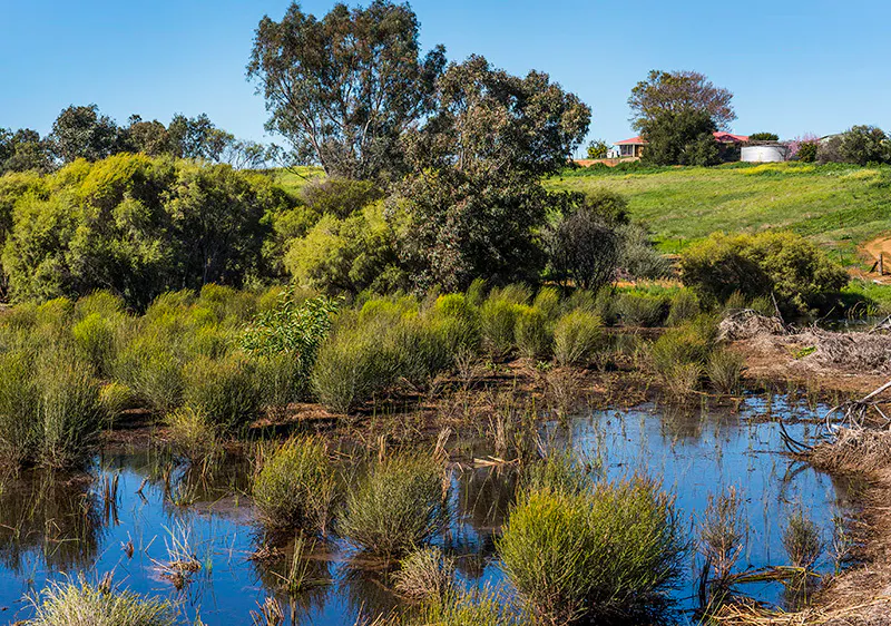 60 Cruse Road, Belhus, WA, 6069 - Image 20