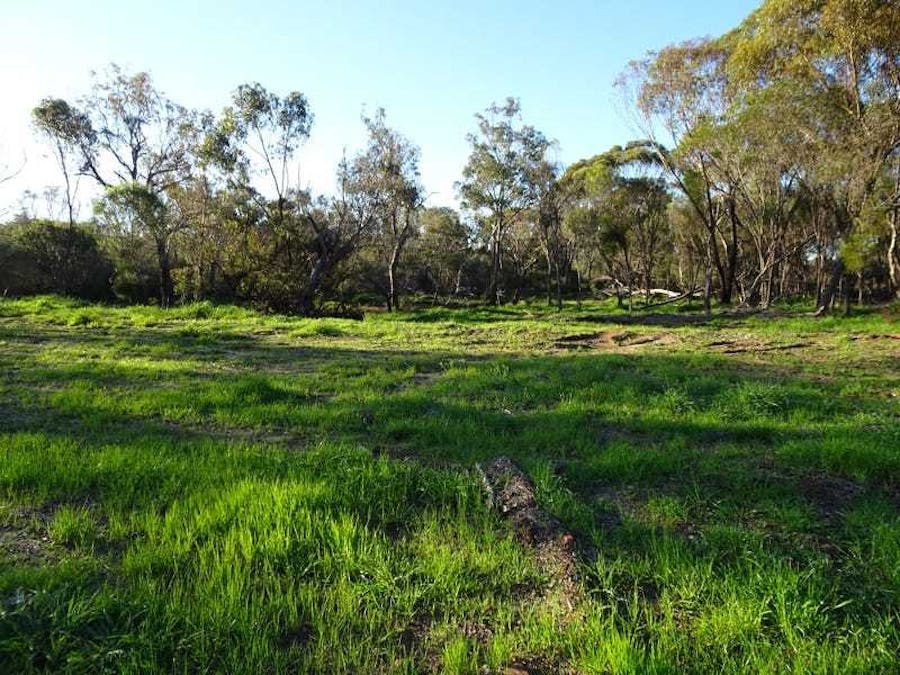 57 Richmond Street, Williams, WA, 6391 Sold Elders Real Estate