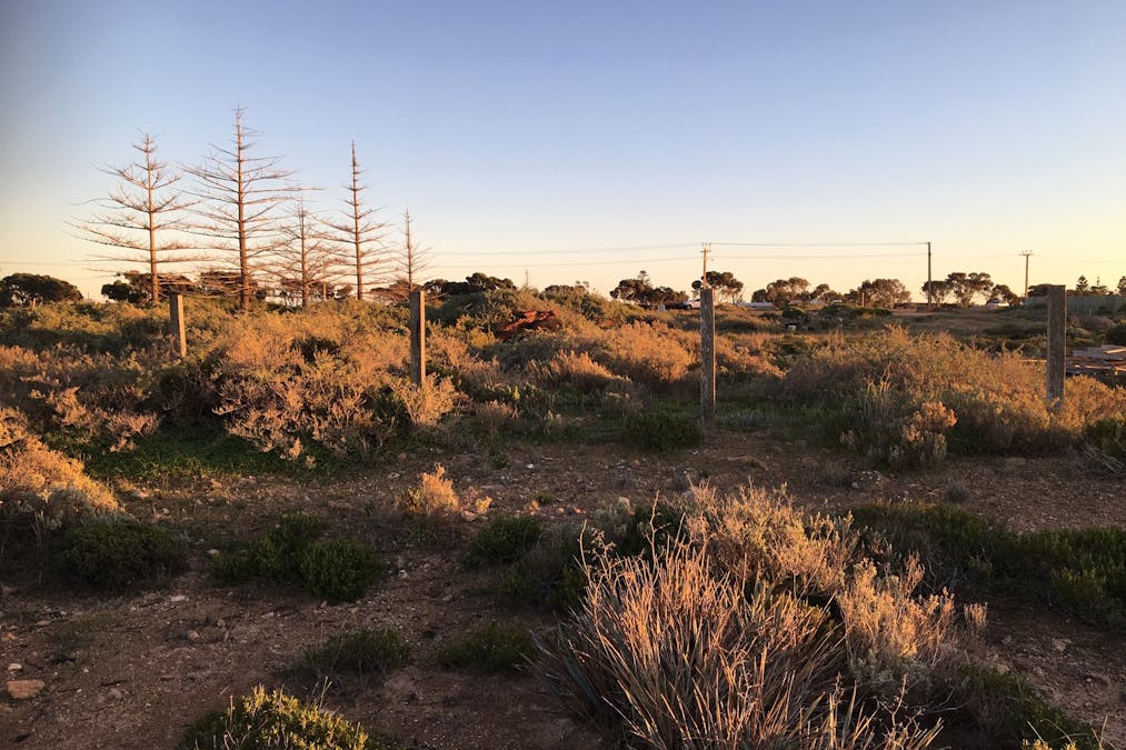 A181 Bergmann Drive, Thevenard, SA, 5690 - Image 6