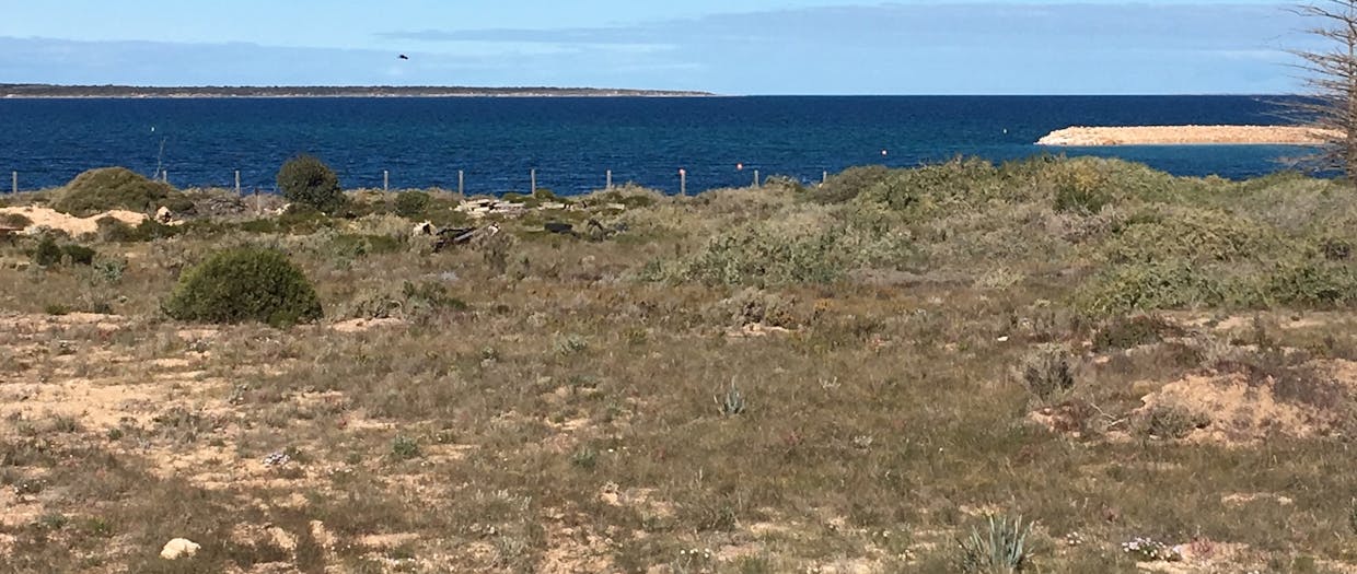 A181 Bergmann Drive, Thevenard, SA, 5690 - Image 9