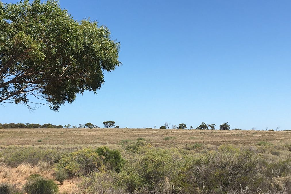 Lot 201 Denial Bay Road, Denial Bay, SA, 5690 - Image 4