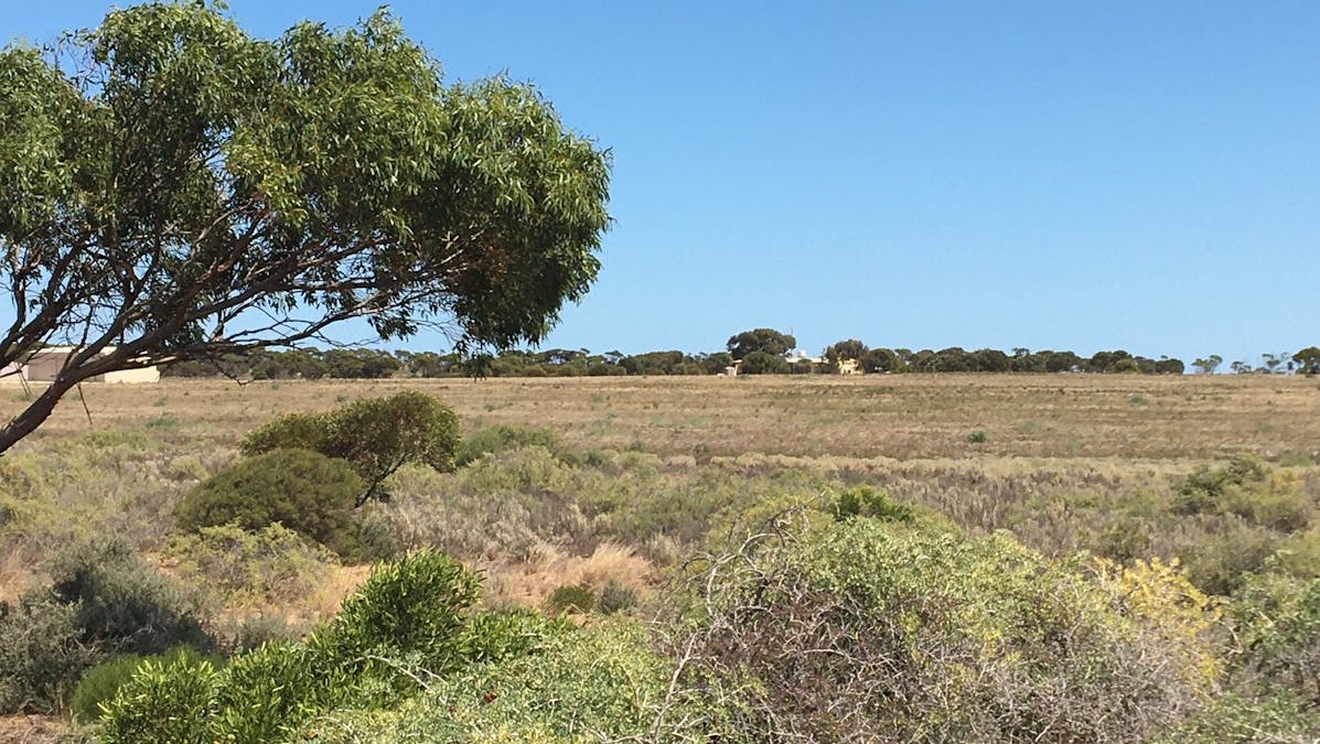 Lot 201 Denial Bay Road, Denial Bay, SA, 5690 - Image 6