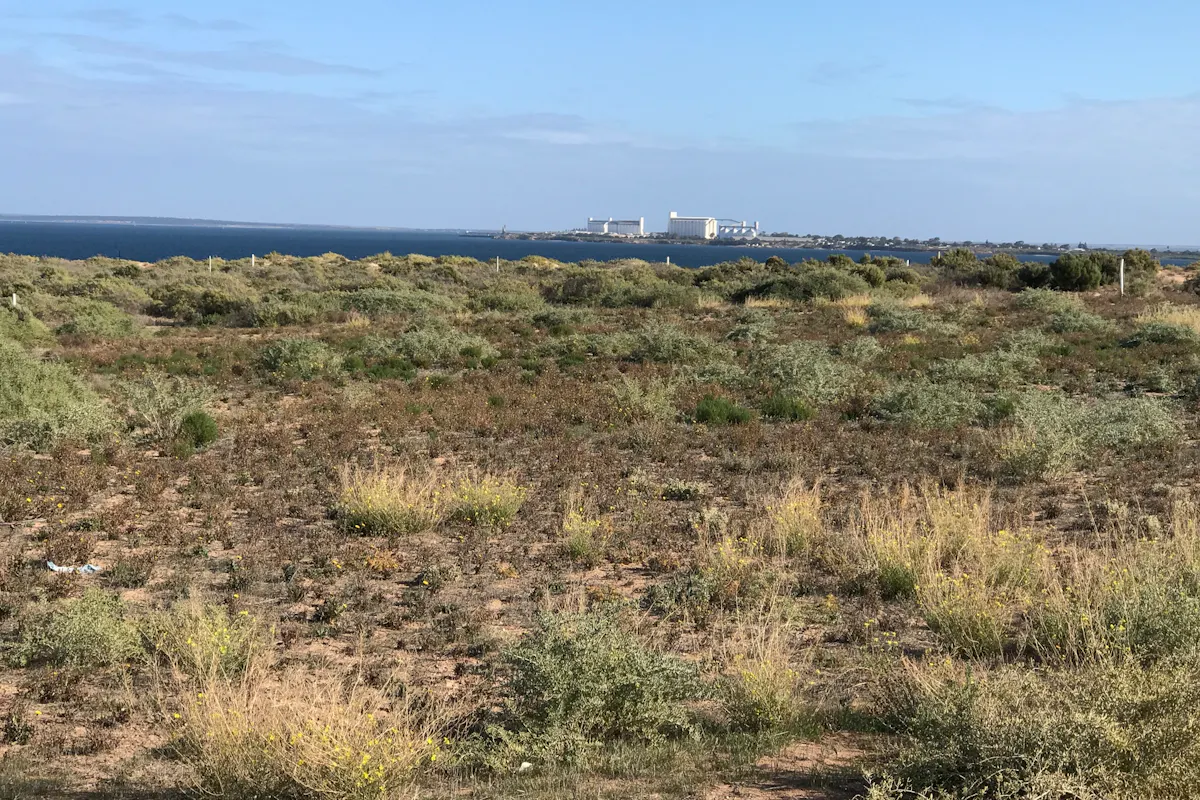 Lot 78 Bosanquet Boulevard, Ceduna Waters, SA, 5690 Sold Elders