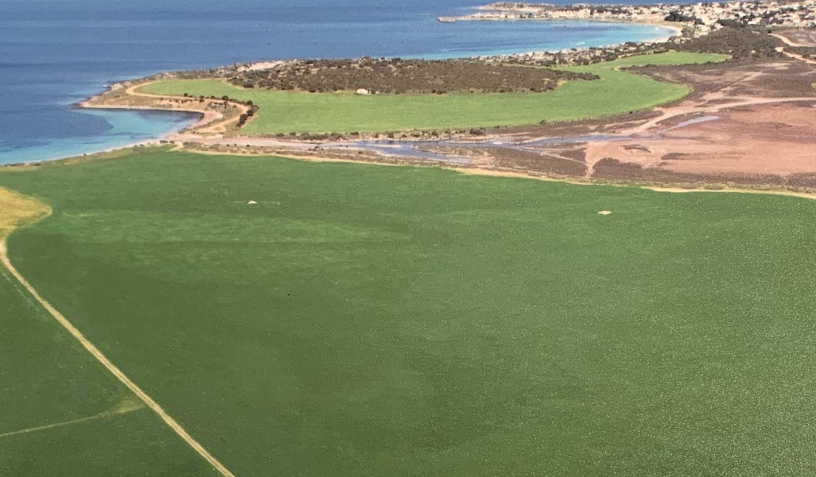 Lot 38 Lincoln Highway, Port Neill, SA, 5604 - Image 1