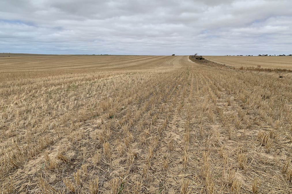Lot 38 Lincoln Highway, Port Neill, SA, 5604 - Image 15