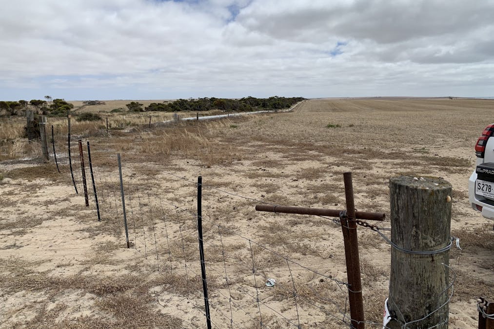 Lot 38 Lincoln Highway, Port Neill, SA, 5604 - Image 19