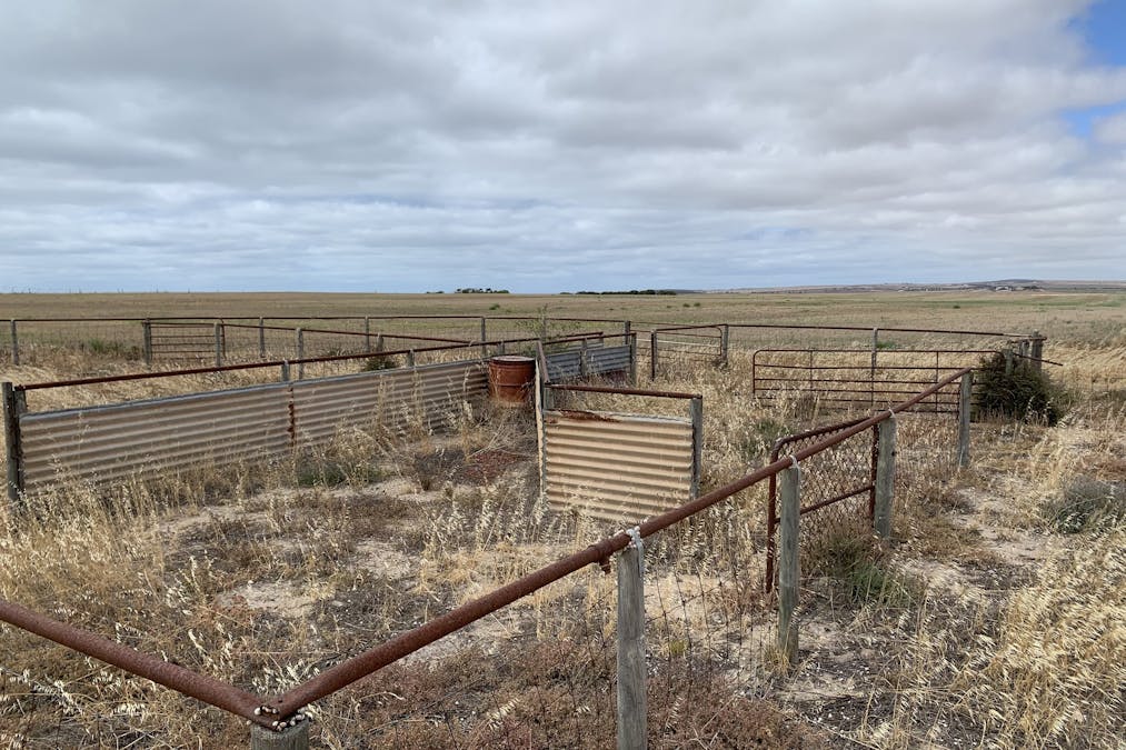 Lot 38 Lincoln Highway, Port Neill, SA, 5604 - Image 20
