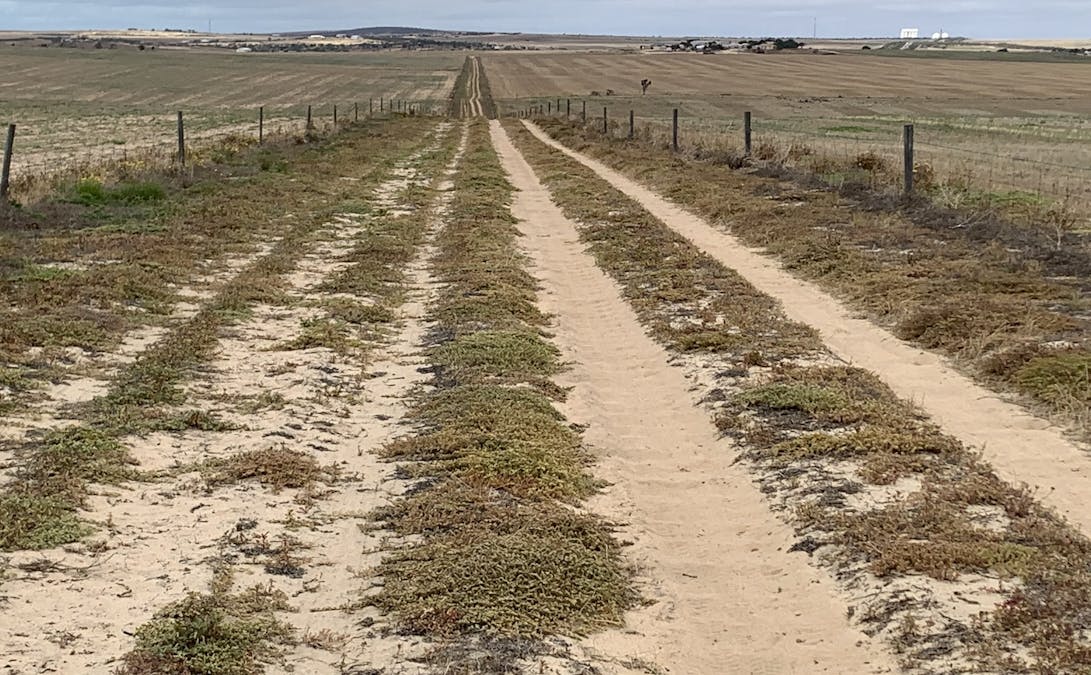 Lot 38 Lincoln Highway, Port Neill, SA, 5604 - Image 23