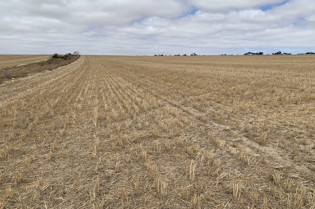 Lot 38 Lincoln Highway, Port Neill, SA, 5604 - Image 24